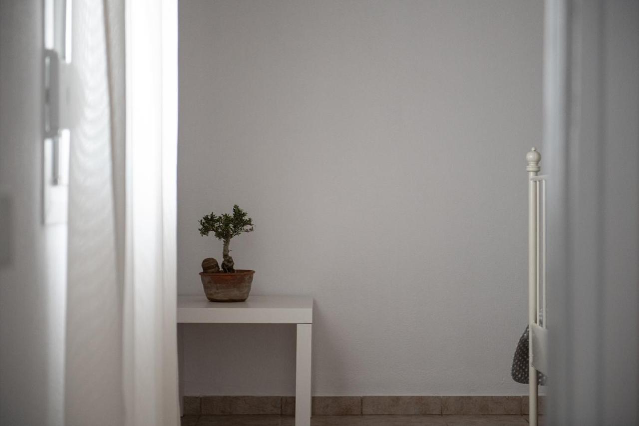 Agrikia Tis Vasilikis Apartment Ormilia ภายนอก รูปภาพ