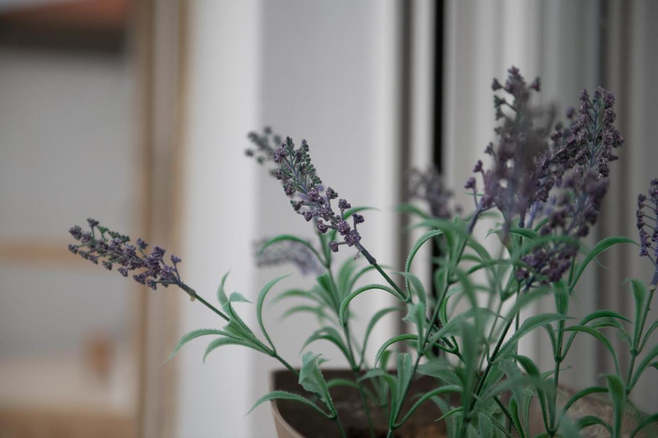 Agrikia Tis Vasilikis Apartment Ormilia ภายนอก รูปภาพ