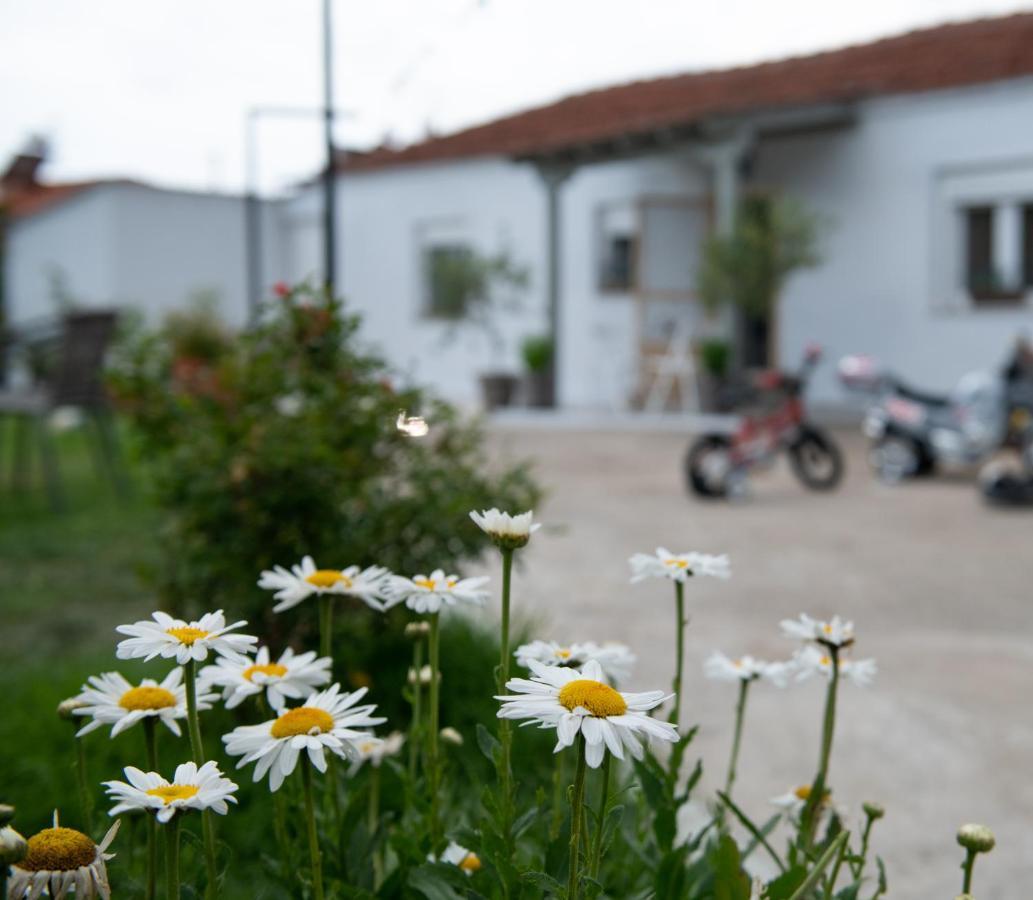 Agrikia Tis Vasilikis Apartment Ormilia ภายนอก รูปภาพ