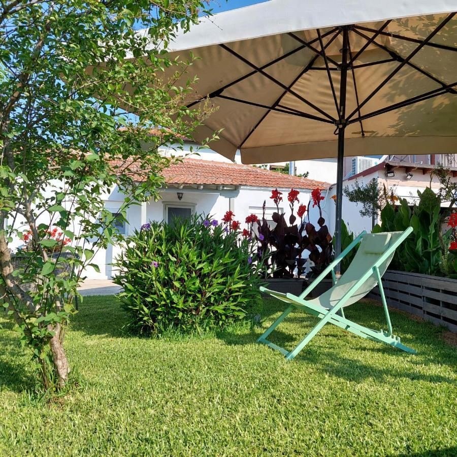 Agrikia Tis Vasilikis Apartment Ormilia ภายนอก รูปภาพ